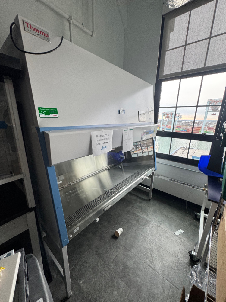 Image of Thermo 1300 Series A2 6' BioSafety Cabinet